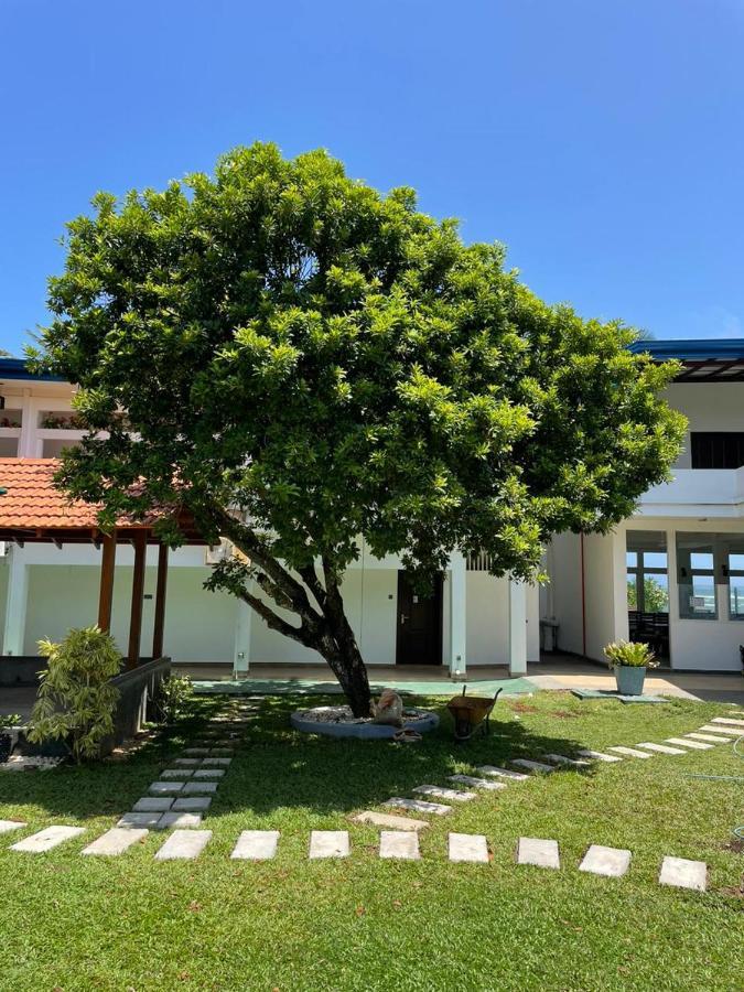 Hotel Pink Land Beruwala Zewnętrze zdjęcie